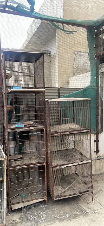 Cages for sale per piece 4500
