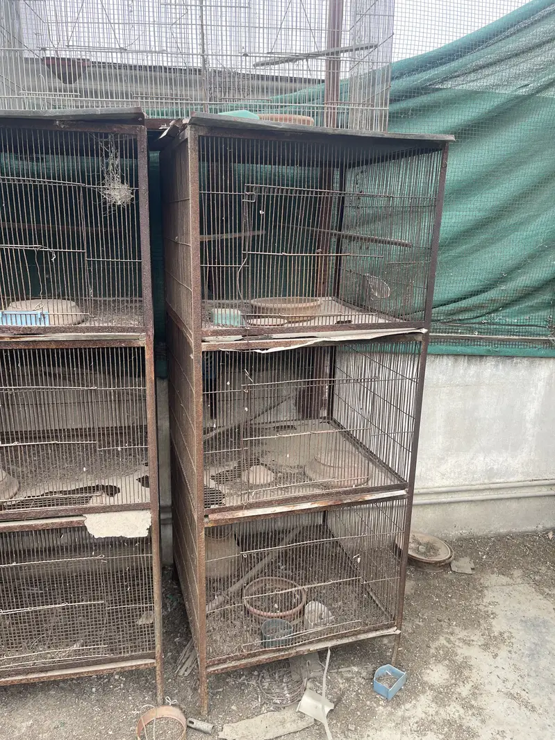Cages for sale per piece 4500 — photo 2