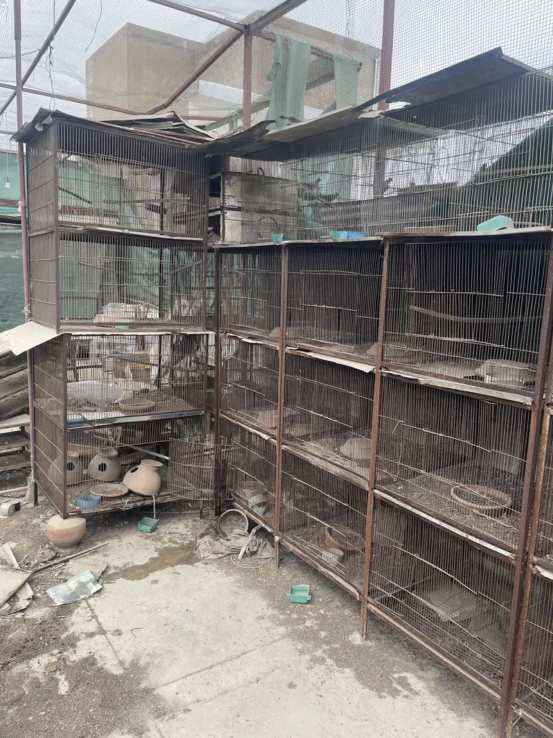 Cages for sale per piece 4500 — photo 3