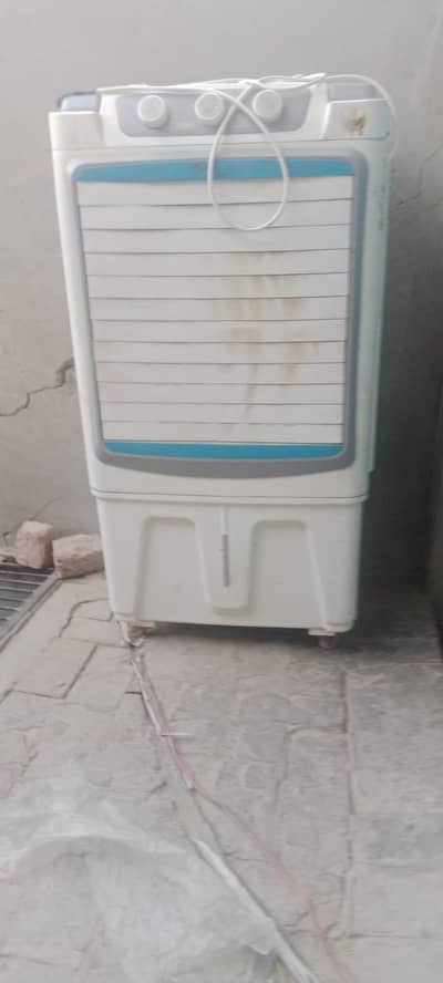 Oreant Company 2024 model