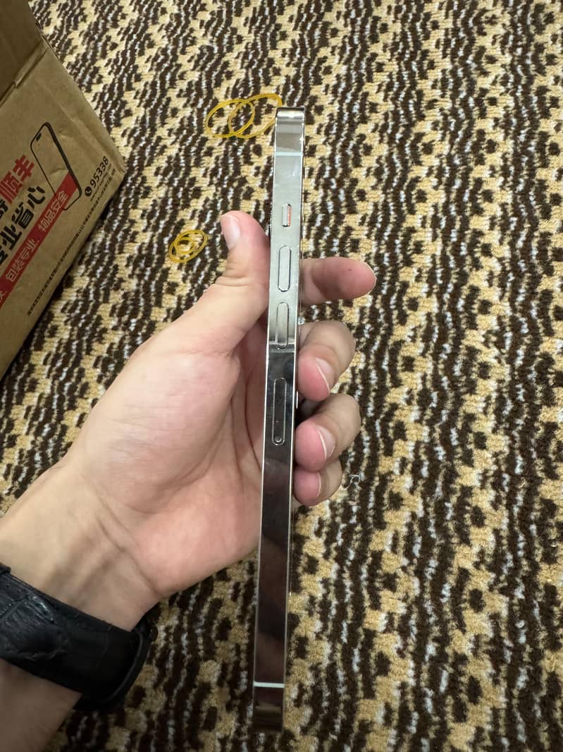 Apple iPhone 13 Pro Max 2