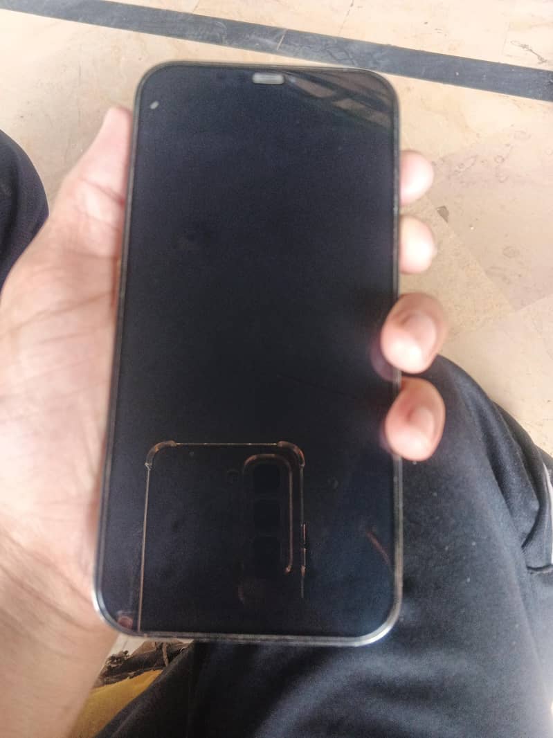 Apple iPhone 12 Pro Max 1