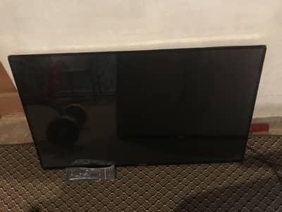 Akita 40 inch n