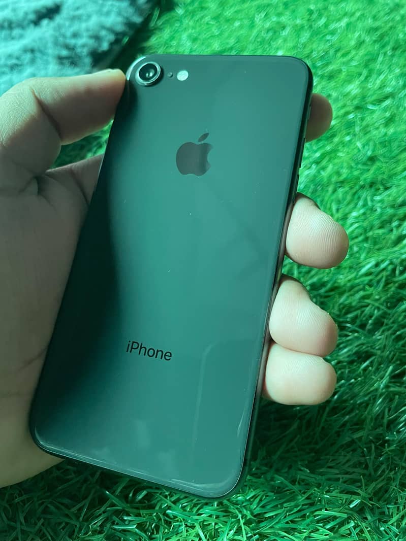 Apple iPhone 8 0