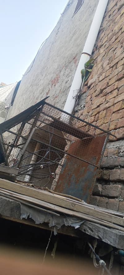 birds and animal cage
