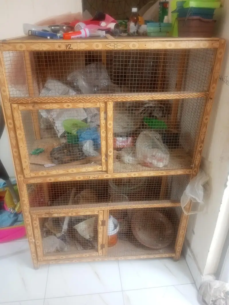 BIRDS CAGE FOR SALE IN LAHORE LALAZAR GARDEN PHASE 1 — photo 2