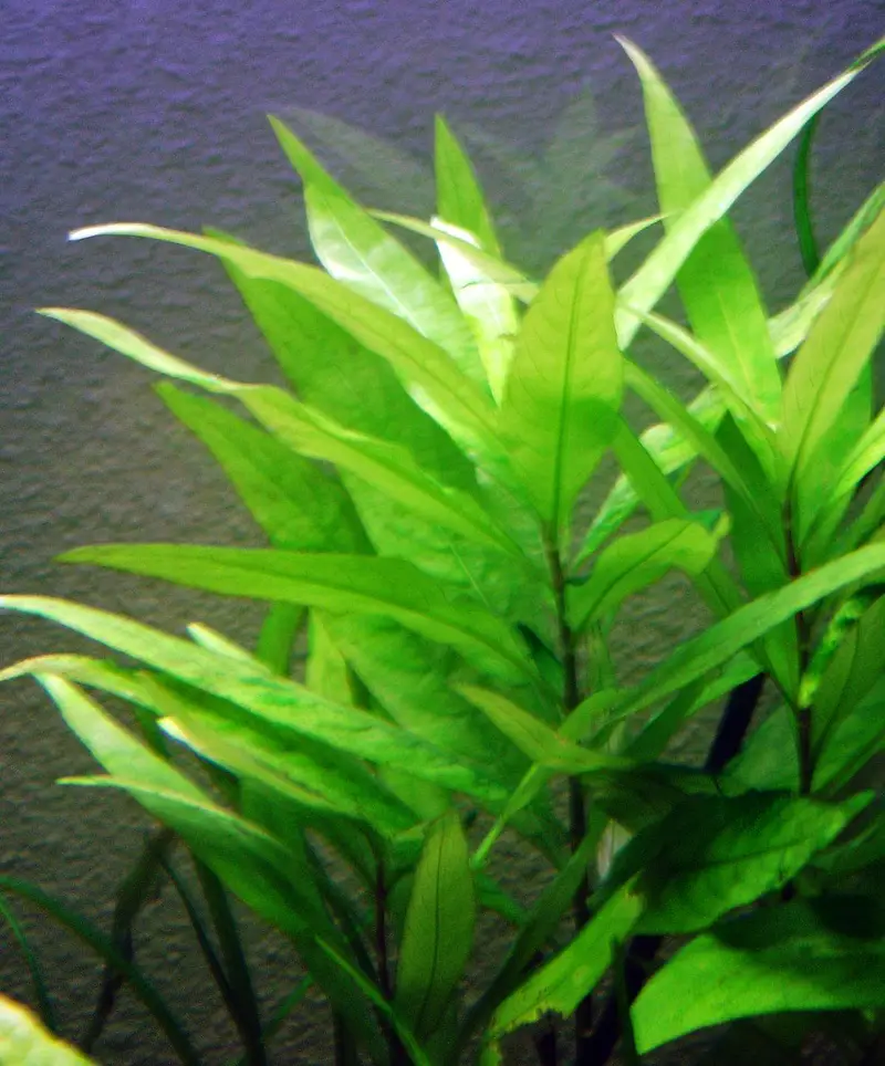 aquarium for sale — photo 4