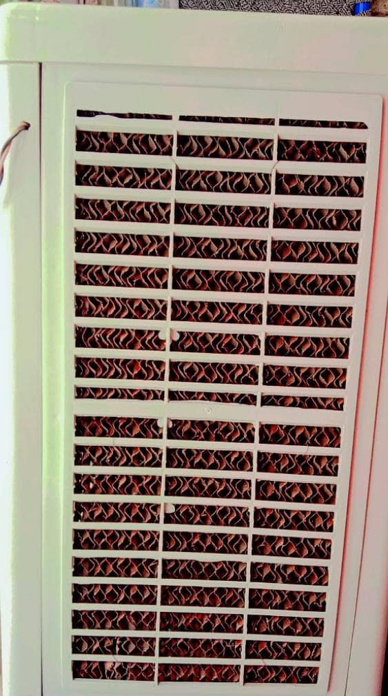 used full 1