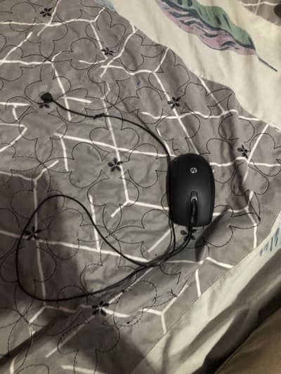 Mouse