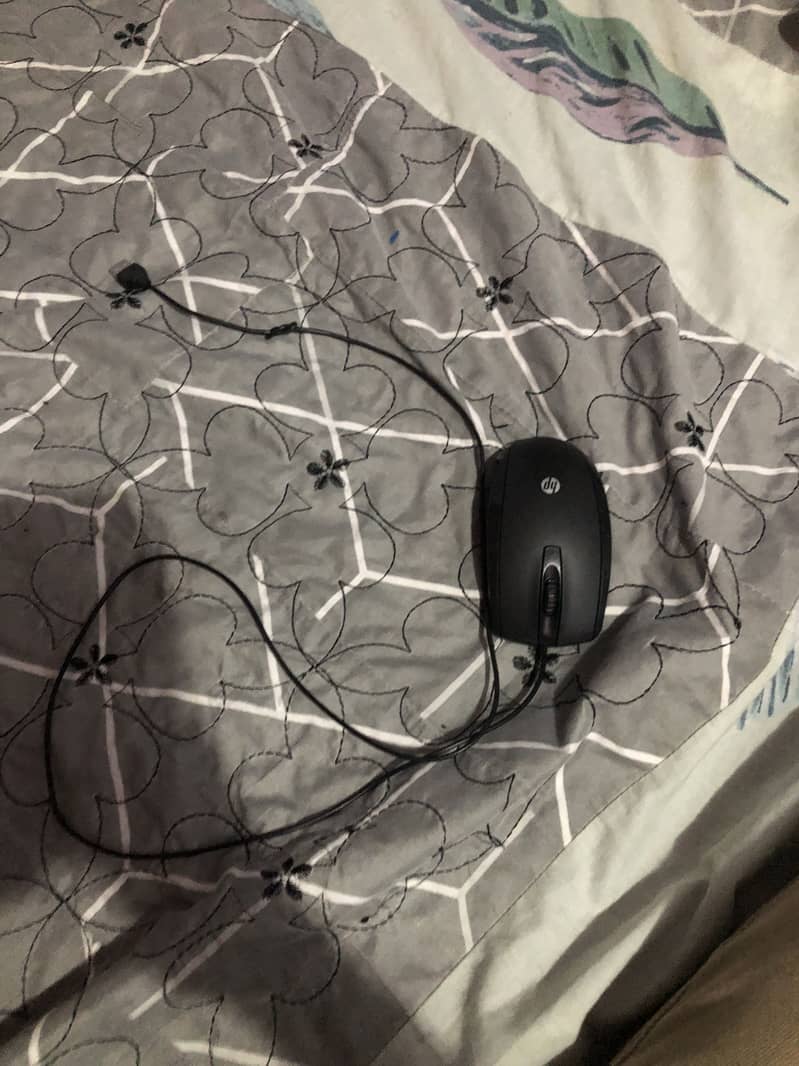 Mouse 0