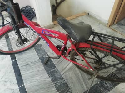 hammar bicycles