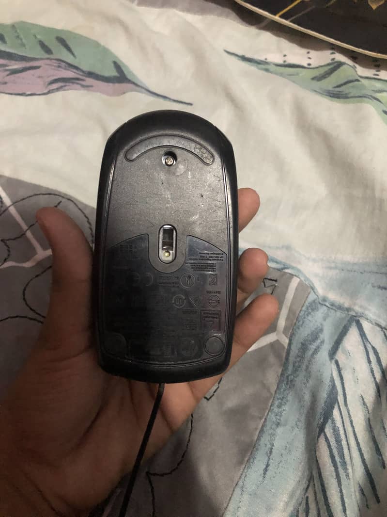 Mouse 1