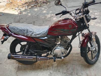 Yamaha ybz dx 2023