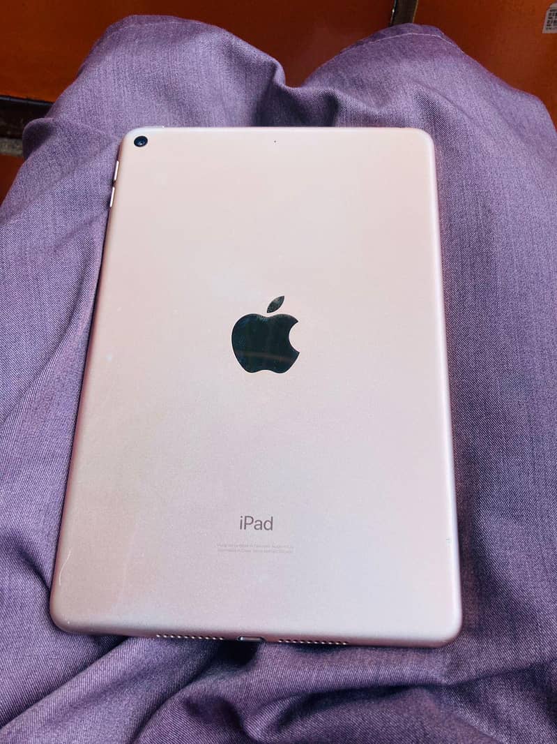 iPad Mini 5 0