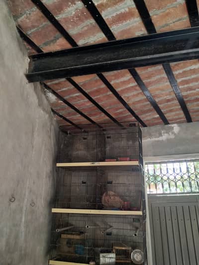 3 parrot cage Number. . 03351889446