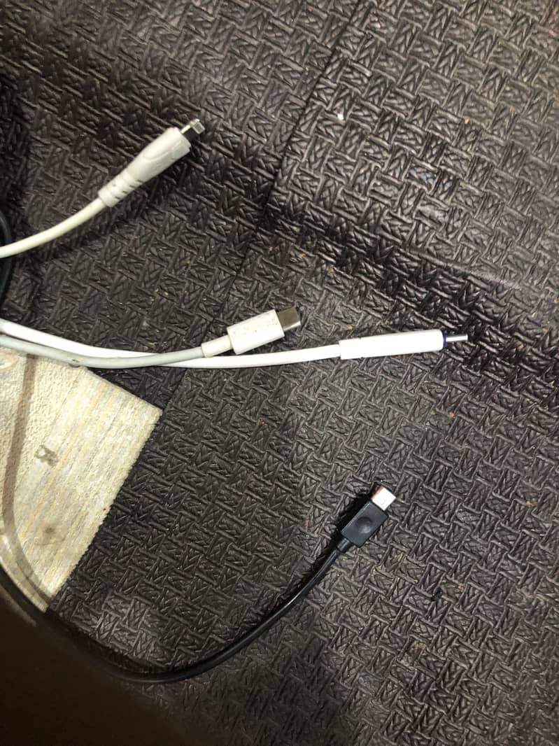 Mouse 9