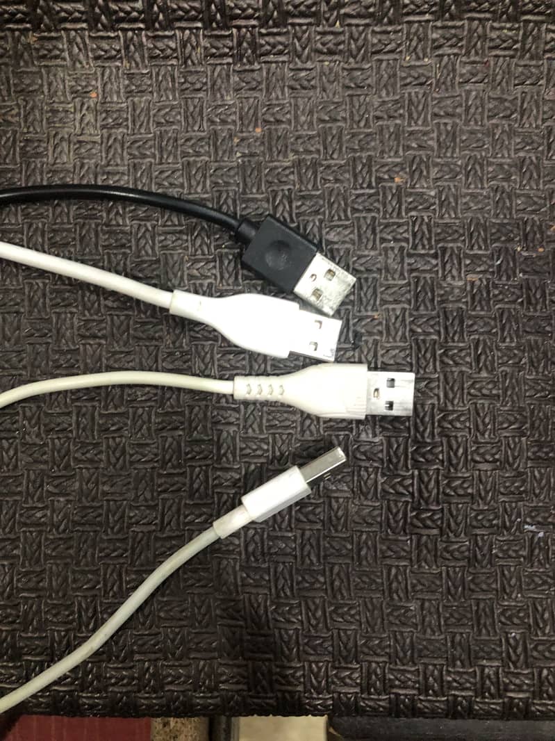 Mouse 11