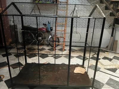 birds cage
