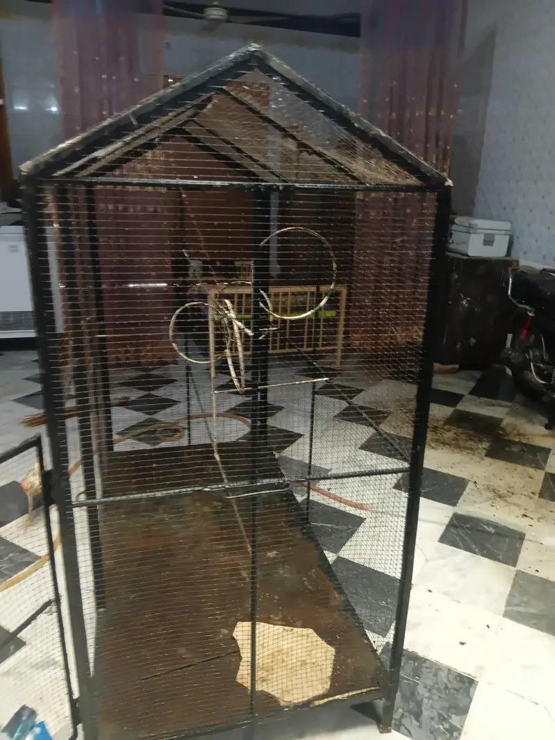 birds cage — photo 2
