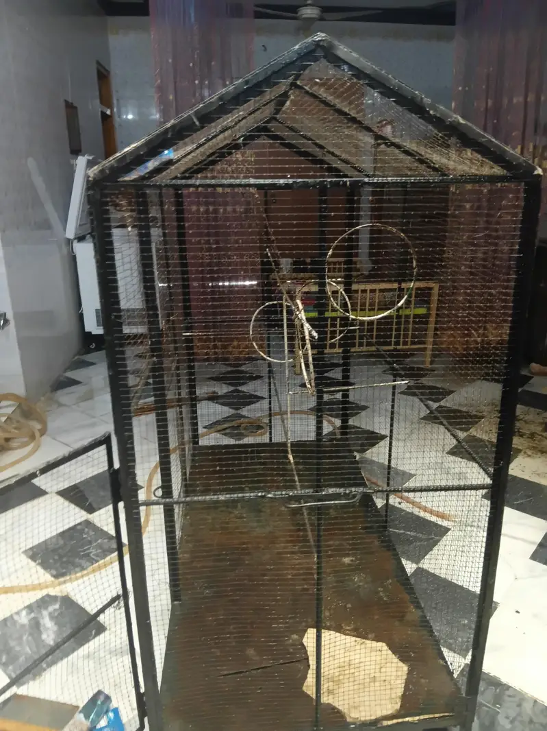 birds cage — photo 3