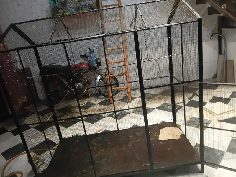 birds cage — photo 4
