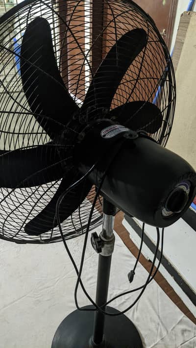orient pedestal fan