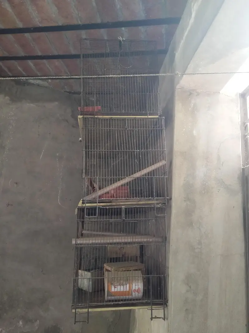 3 parrot cage Number. . 03351889446 — photo 2