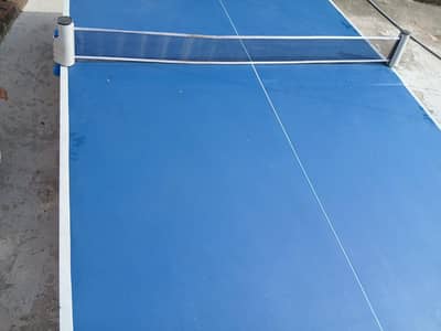 Table Tennis along with net