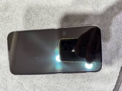 13 promax non pta