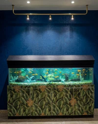 Aquarium Fish Tank