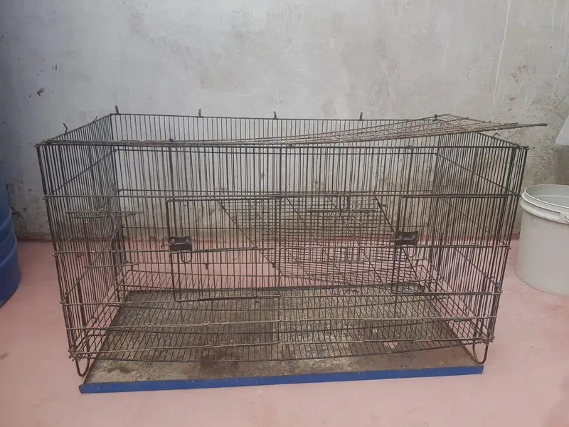 Cage Iron  For Birds