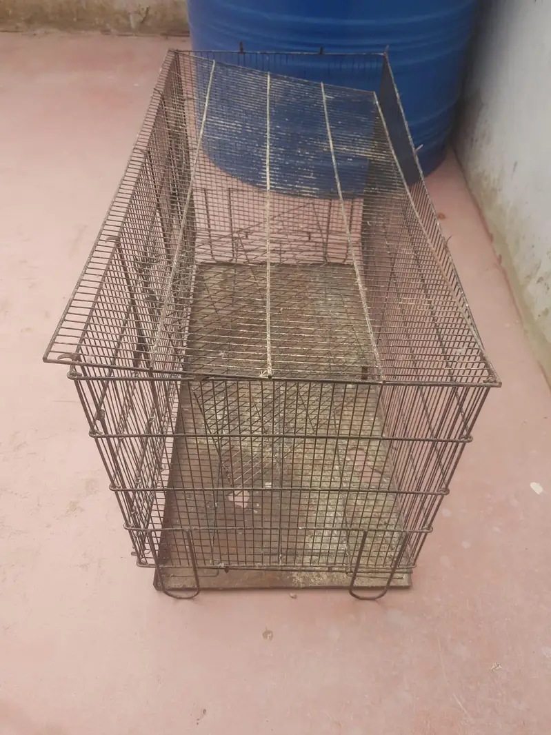 Cage Iron  For Birds — photo 2