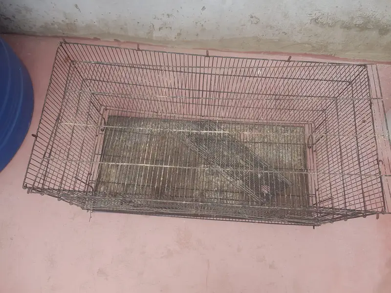 Cage Iron  For Birds — photo 3