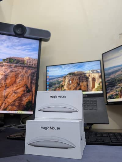 Apple magic Mouse 2&3