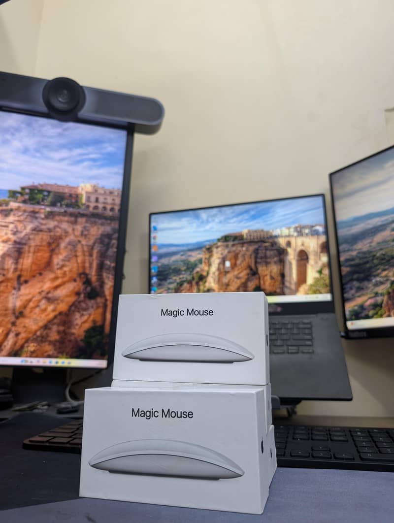 Apple magic Mouse 2&3 0