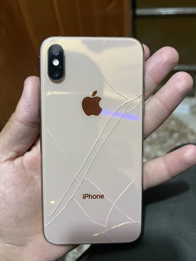 Apple iPhone XS  hi
