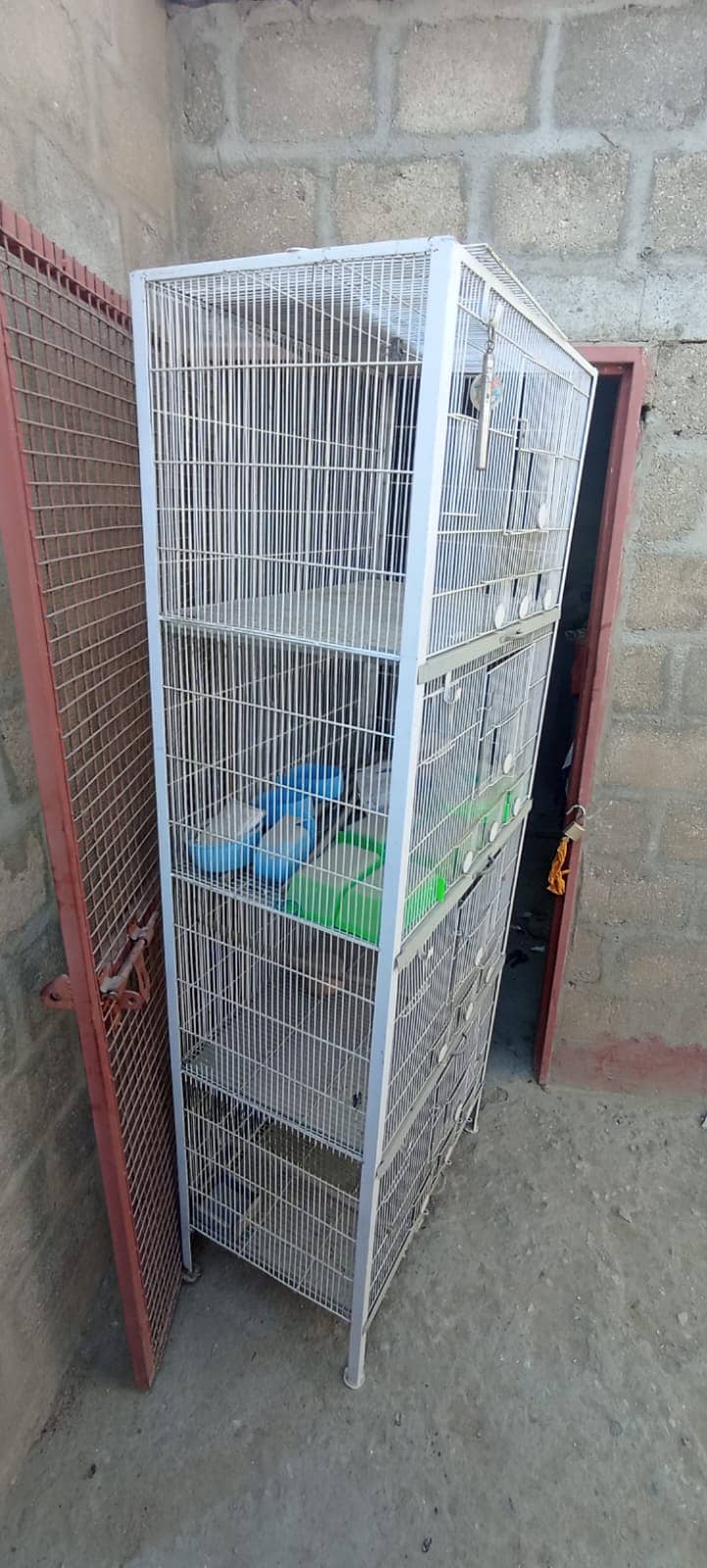 Cages 1