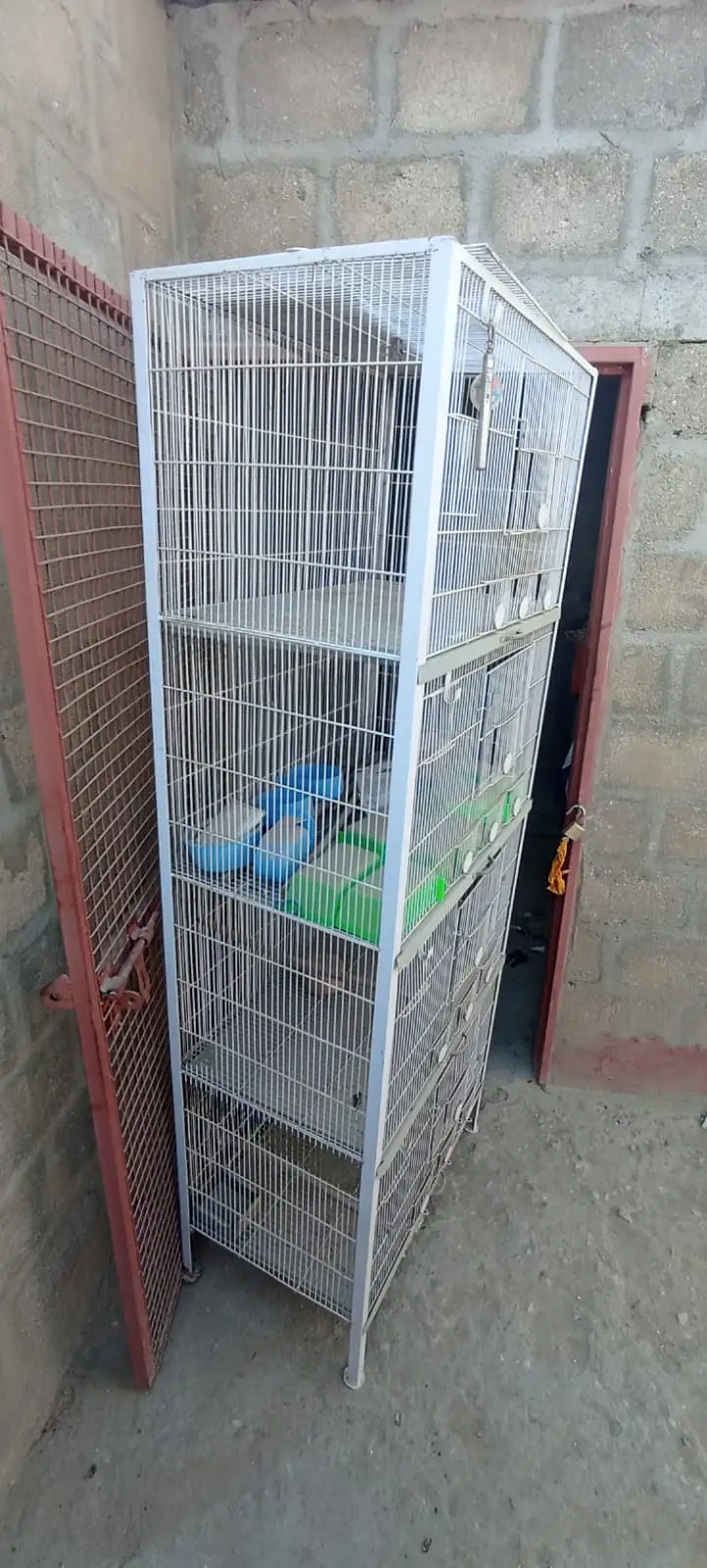 Cages — photo 2