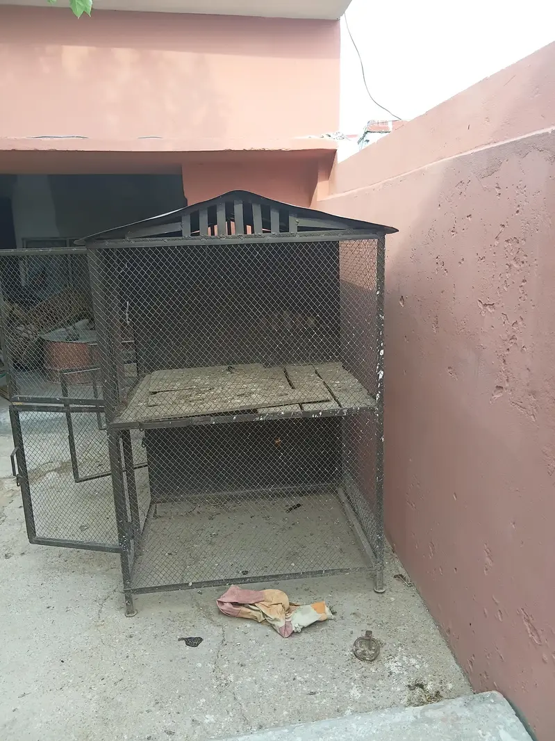 cage for sale, — photo 4