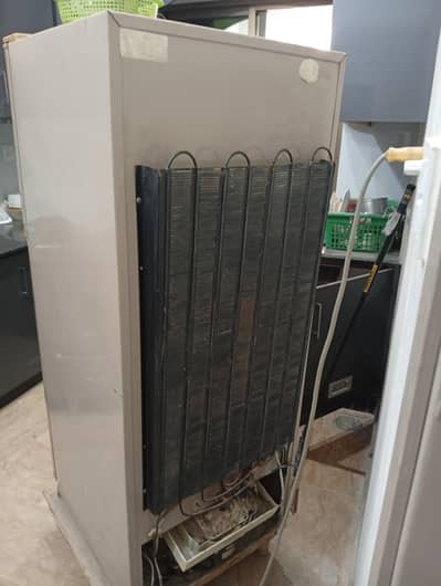 Dawlance medium size Refrigerator for sale