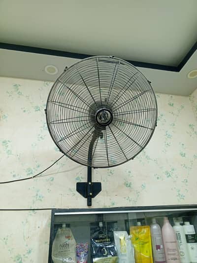 Younus Fan 24 Size