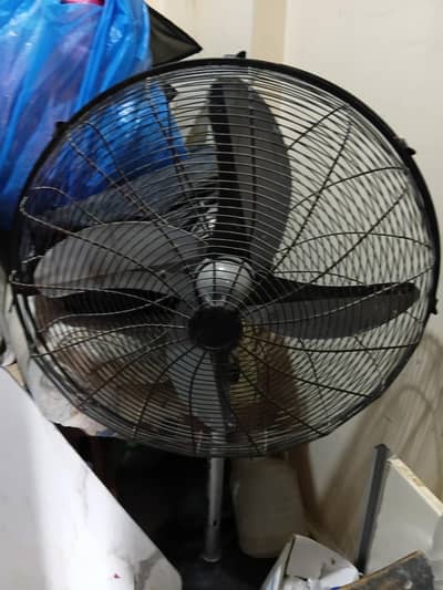 Best Fan
