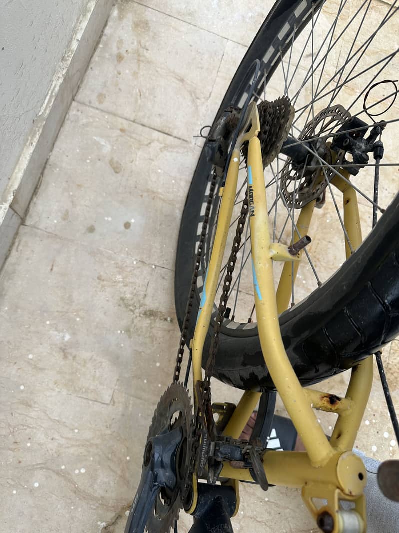 cycle morgan 2