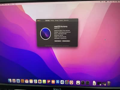 MacBook Pro Retina 15" (i7 - 16GB RAM / 256GB SSD) Display Only Issue