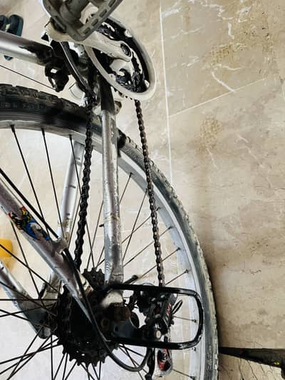 Shimano Cycle