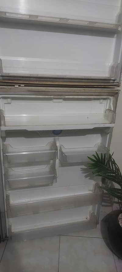 fridge lg