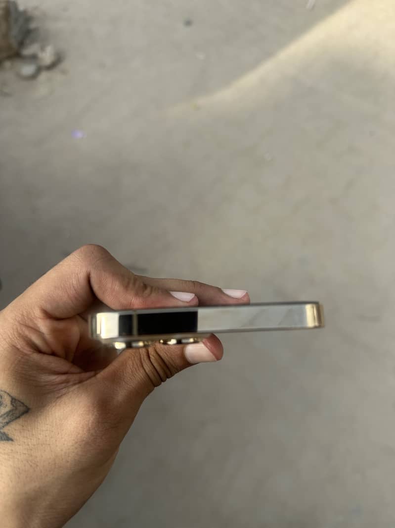 Iphone 13 pro max 1