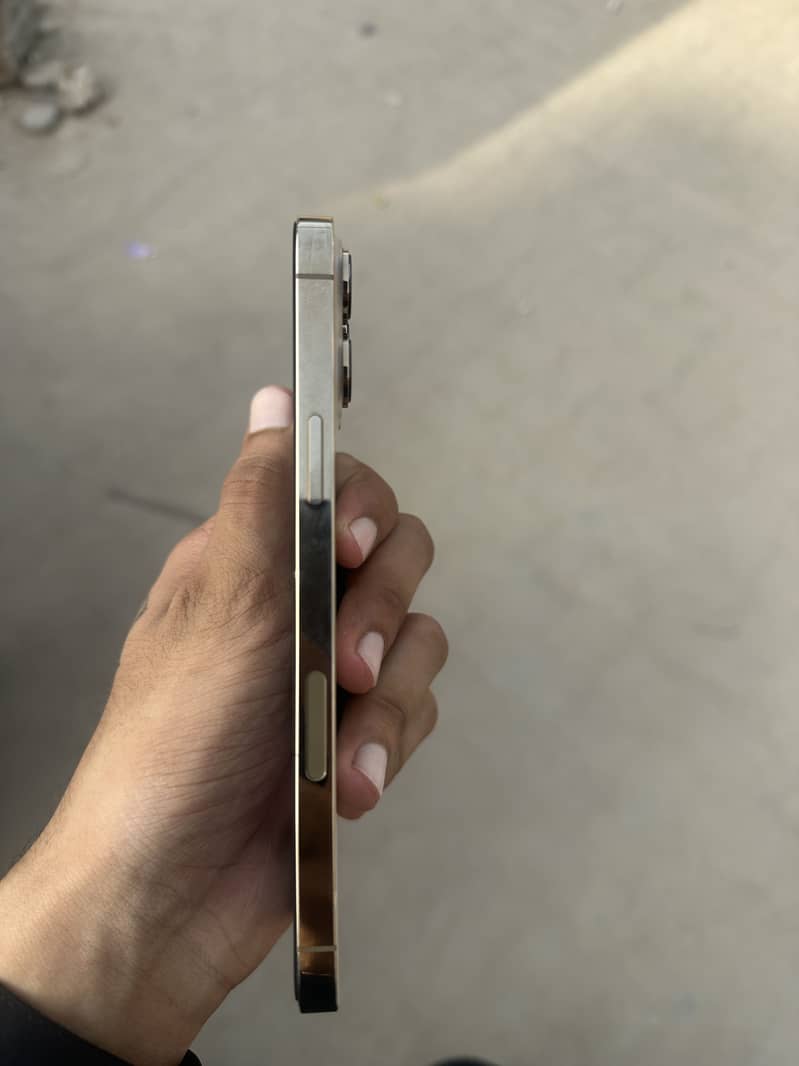 Iphone 13 pro max 4