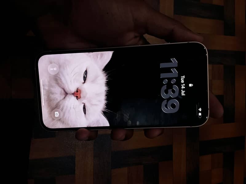 Apple iPhone 13 1