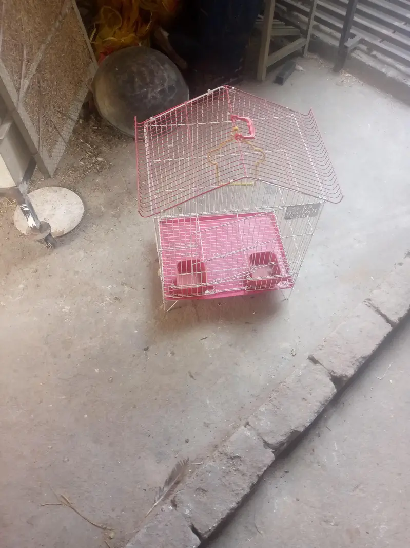 parrot cage — photo 2